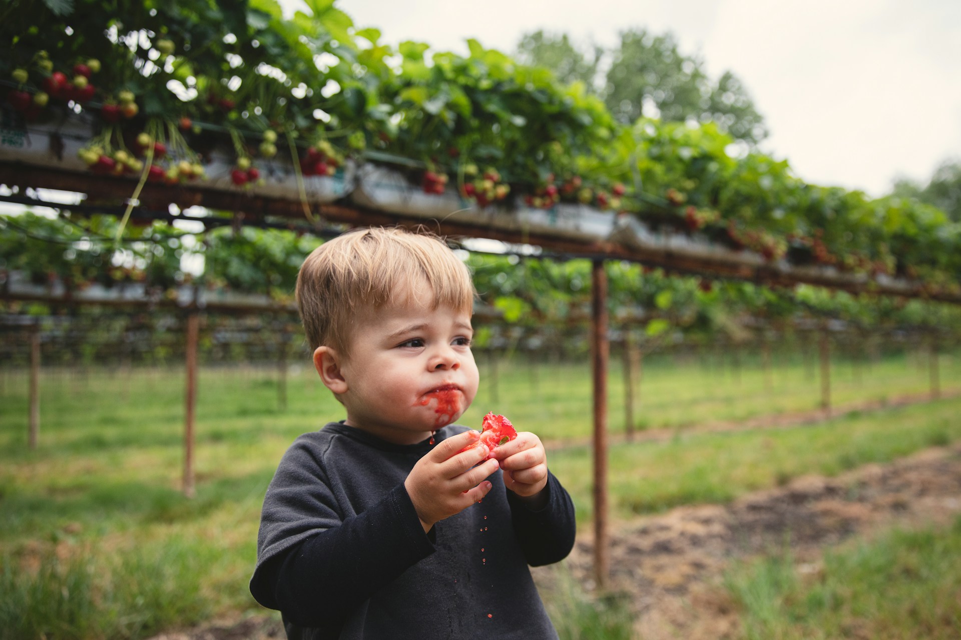 Gesunde Snacks für Kleinkinder